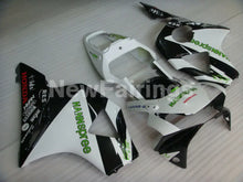 Cargar imagen en el visor de la galería, White and Black HANN Spree - CBR 954 RR 02-03 Fairing Kit -